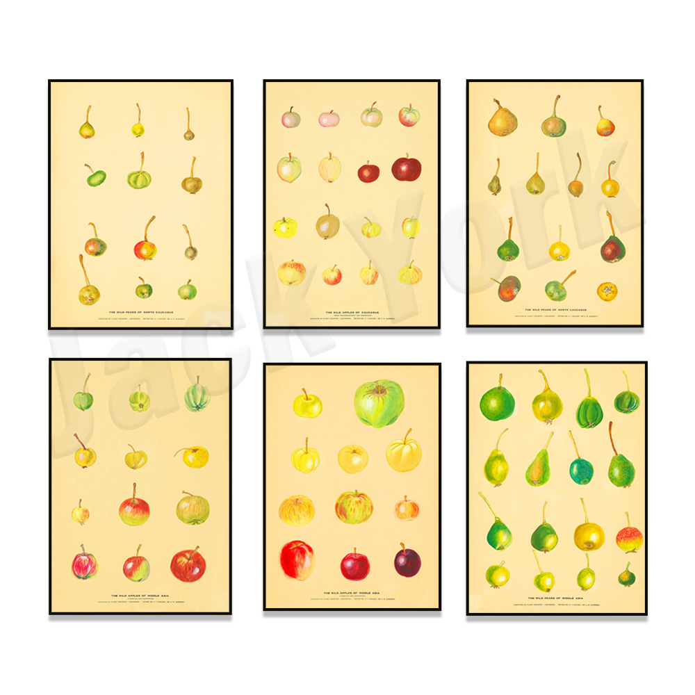 Fruit Kitchen Poster Vintage P - Plant Jackfruit ulasan dan harga